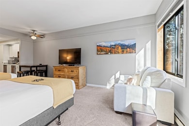 Bedroom with ceiling fan, light colored carpet, an
