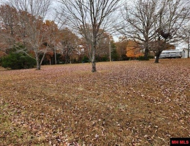 Lots 118 & 119 Surrey Dr, Lakeview, AR 72642 - photo 3