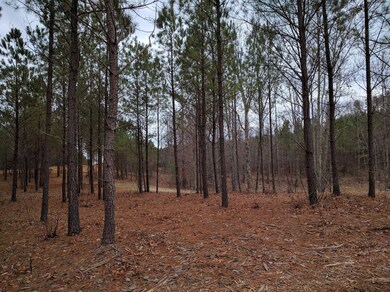 0 Bear Trace Dr unit RTC2729913, Jasper, TN 37347 - photo 6