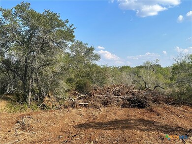 5894 Fm 1107 Unit B-Tract 1, Stockdale, TX 78160 - photo 7