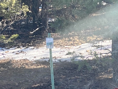 TBD Cottontail Ln, Ridgway, CO 81432 - photo 7