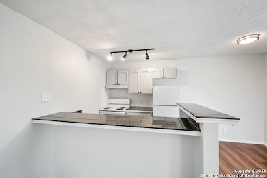131 Elsie Ave unit 103, San Antonio, TX 78204 - photo 4