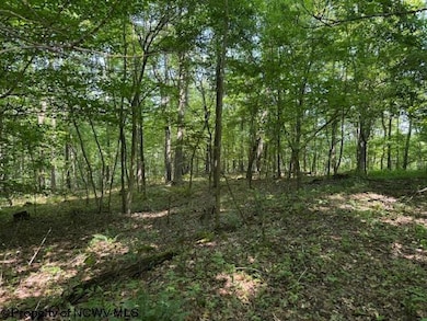 TBD Irontown Rd, Independence, WV 26374 - photo 5