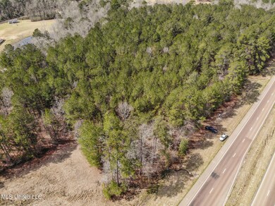 DJI_0570