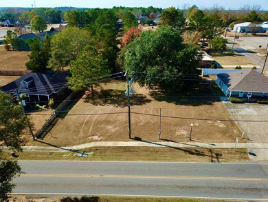 .35 Acres N Broad St, Cowarts, AL 36321 - photo 3