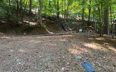 Additional View