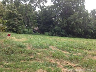 0 Old Charlotte Rd unit 84, Statesville, NC 28677 - photo 4