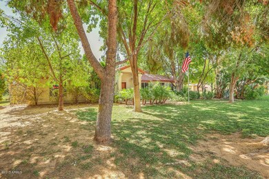 Mature Shade Trees
