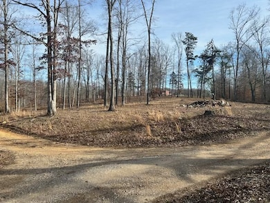 The corner of Pumpkin Branch Road & Bear Creek Road.
