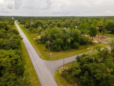 0 SW Lobelia Ct unit O6044520, Dunnellon, FL 34431 - photo 6