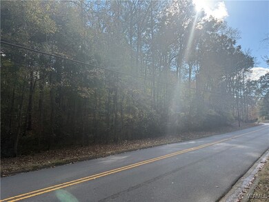 Lot 30 Cypress Creek Ave E, Tuscaloosa, AL 35405 - photo 4