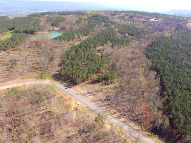 0 High Point Ln unit 1308638, Jasper, TN 37347 - photo 3