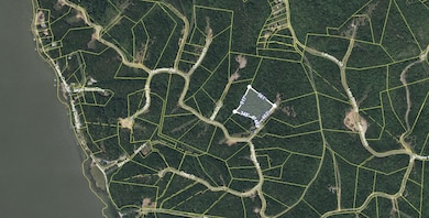 0 Pelican Ct unit RTC2975533, Waverly, TN 37185 - photo 6