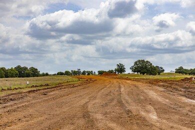 305 Blue Castle Ct, Weatherford, TX 76088 - photo 4