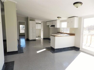 101 Little Salty Ct, Springtown, TX 76082 - photo 6