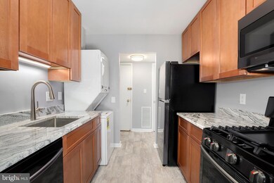 3364 Hewitt Ave unit 101, Silver Spring, MD 20906 - photo 6