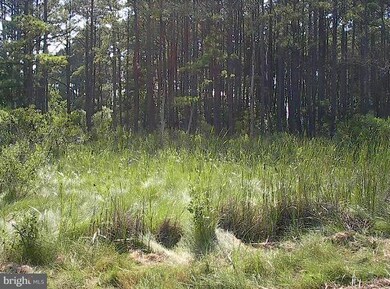 0 Kirwans Neck Rd, 5, Lakes, MD - photo 3