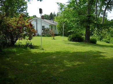 Back Yard.