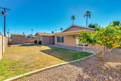 5 Backyard 1
