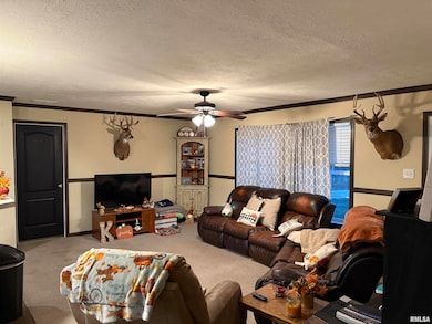 6874 White Walnut Rd, Pinckneyville, IL 62274 - photo 6