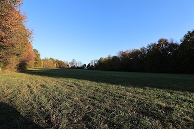 447 Mayhew Rd, Park City, KY 42160 - photo 7