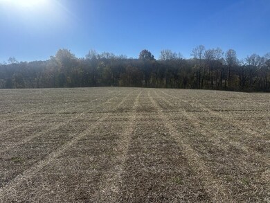 0 Petty Rd, Sparta, TN 38583 - photo 7