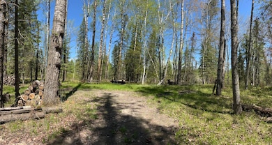 TBD Necktie Loop, Lake George, MN 56458 - photo 2