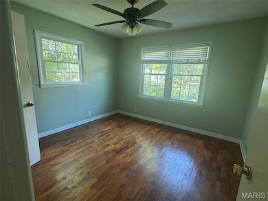 727 W Fannetta St, Dexter, MO 63841 - photo 3