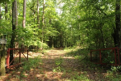 150=911# Cr 233 (King Bailey Road), Oxford, MS 38655 - photo 6