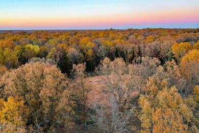 DJI_0666