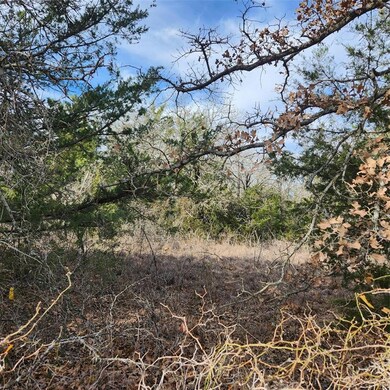 TBD Cr 2395, Alvord, TX 76225 - photo 6