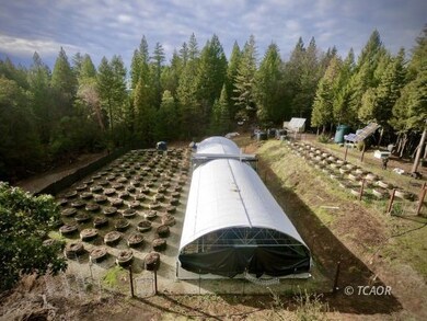 991 Live Oak Rd, Hayfork, CA 96041 - photo 4