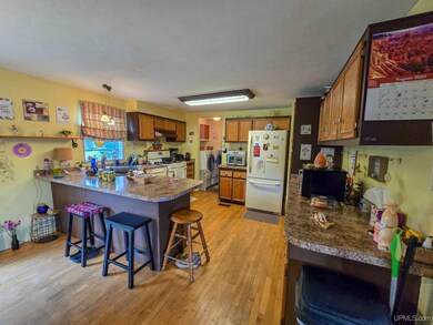 E3721 Munising St, Chatham, MI 49816 - photo 5