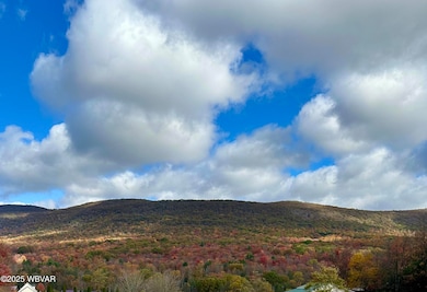 196 Deer View Rd, Unityville, PA 17774 - photo 7