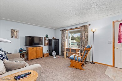 Carpeted living room featuring a textured ceiling, newer vinyl replacement windows.