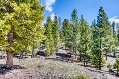 West Fork Rd-11