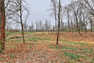 8881 Harrison Ave, Cleves, OH 45002 - photo 5