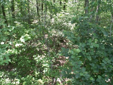 LANDSCAPED BY NATURE