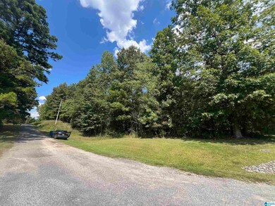 0 Taylor Rd unit 21396069, Remlap, AL 35133 - photo 7