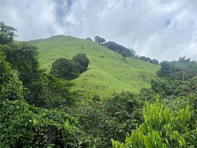 KM 19.9 Carr 128, Yauco, PR 00698 - photo 6