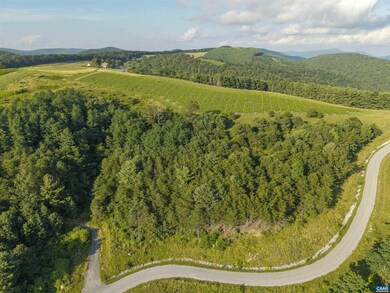 Lot 4 Twelve Ridges Way unit 4, Vesuvius, VA 24483 - photo 7