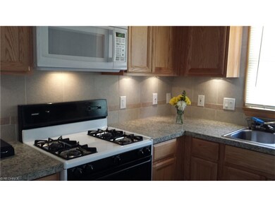 Ceramic Tile Backsplash and under counter lighting