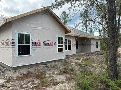 323 & 337 Mt Pleasant Rd, Hortense, GA 31543 - photo 3