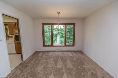 Dining room with newer neutral carpet