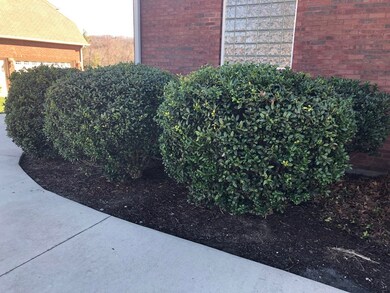 730 Coveview Cir, Cookeville, TN 38506 - photo 7