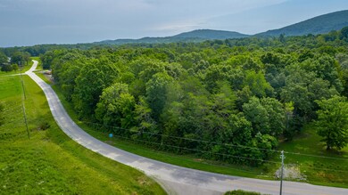 0 Hog Jowl Rd unit 1397019, Chickamauga, GA 30707 - photo 4