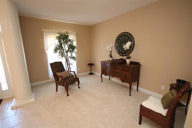 with plush carpet.