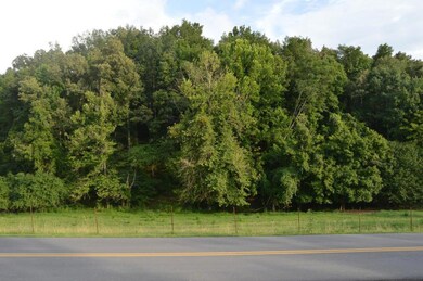 Stanton Rd Acreage 3