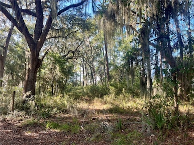 Lot 163 Julienton Dr NE, Townsend, GA 31331 - photo 5