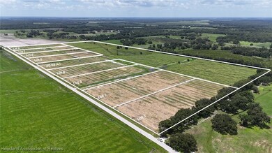 0 Johnston Rd unit 319843, Zolfo Springs, FL 33890 - photo 3